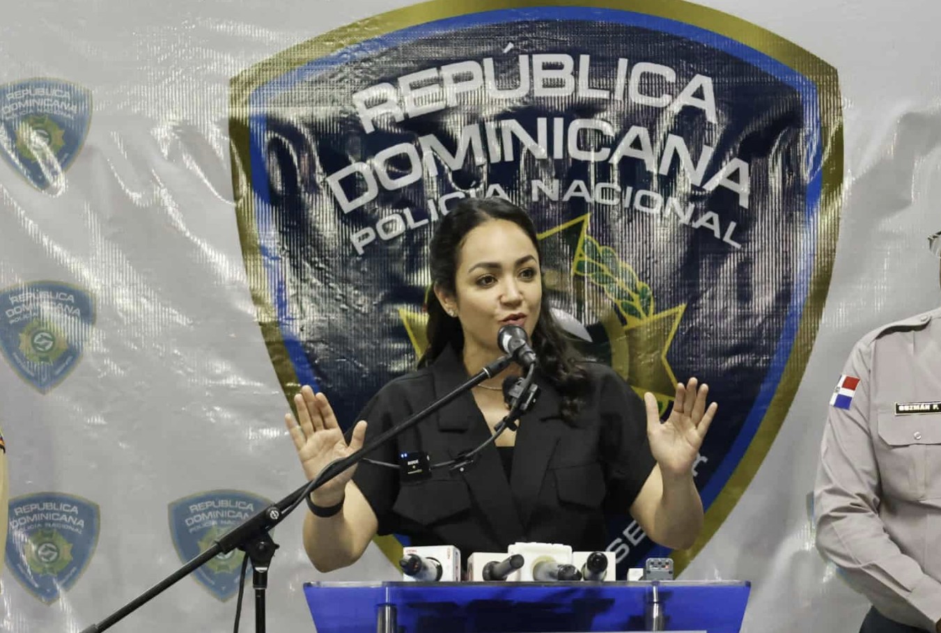 Faride Raful manda a "rodar" a manipuladores mediáticos y a los defensores del caos