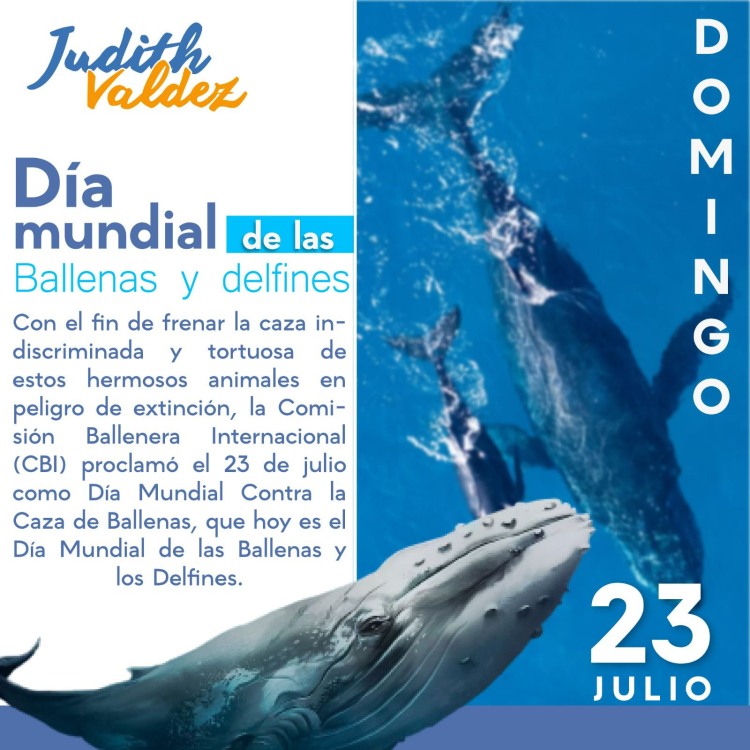 Día Mundial de las Ballenas, JUDITH VALDEZ